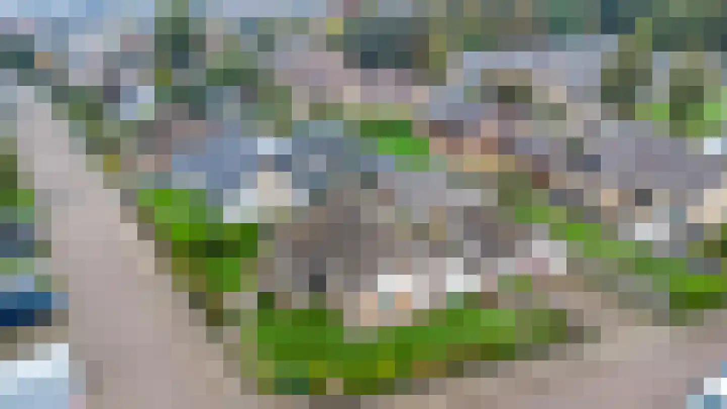 Kerlinge 9 Sprundel thumbnail 48