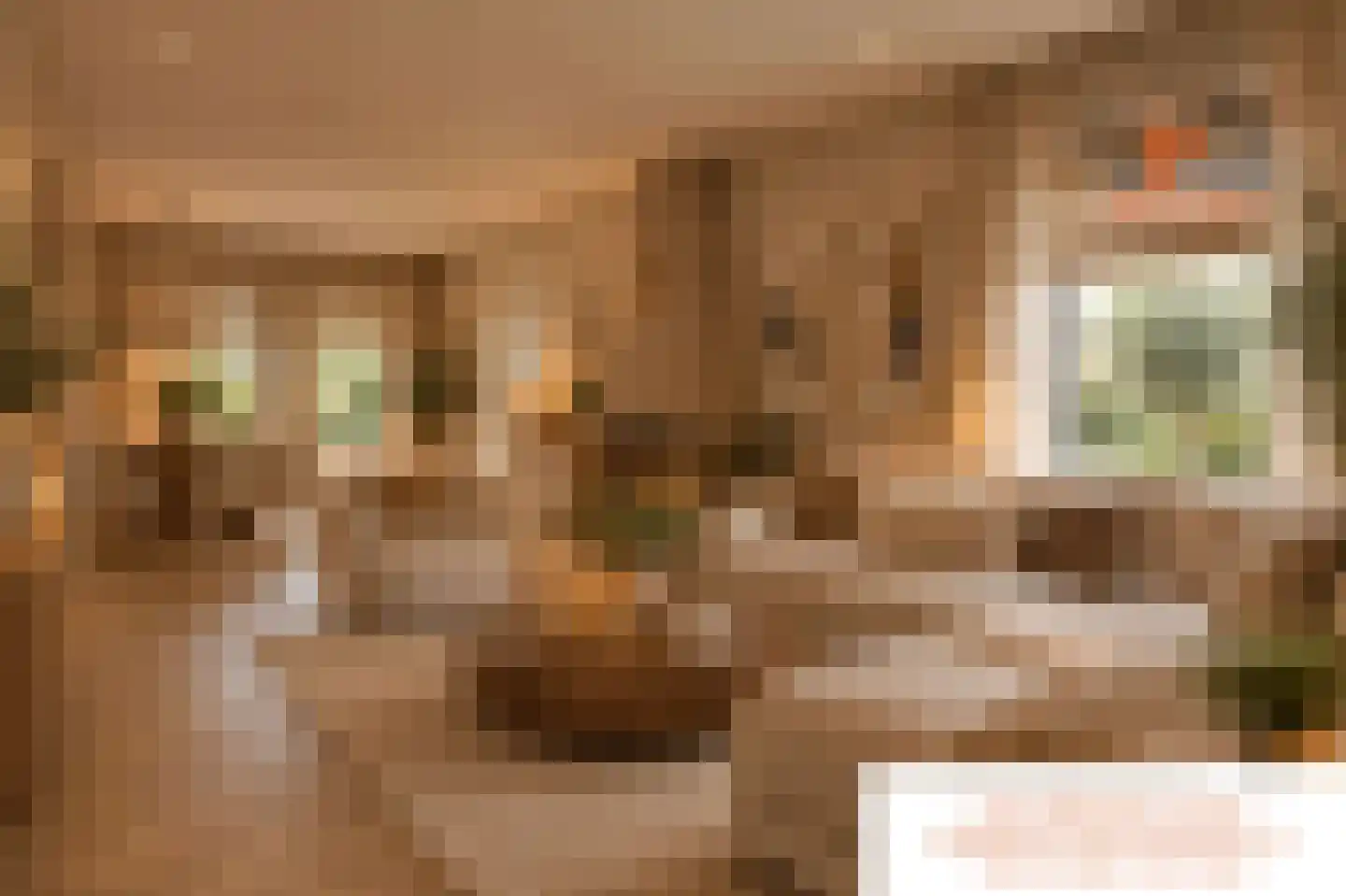 Kerlinge 9 Sprundel thumbnail 6