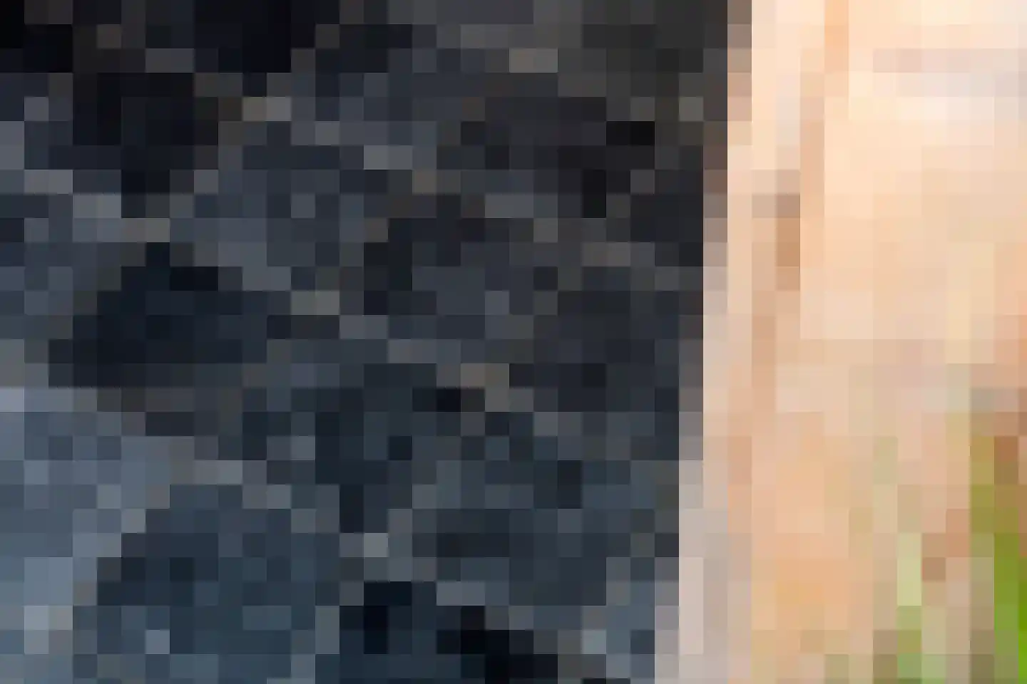 Kermenstein 7 Lienden thumbnail 20