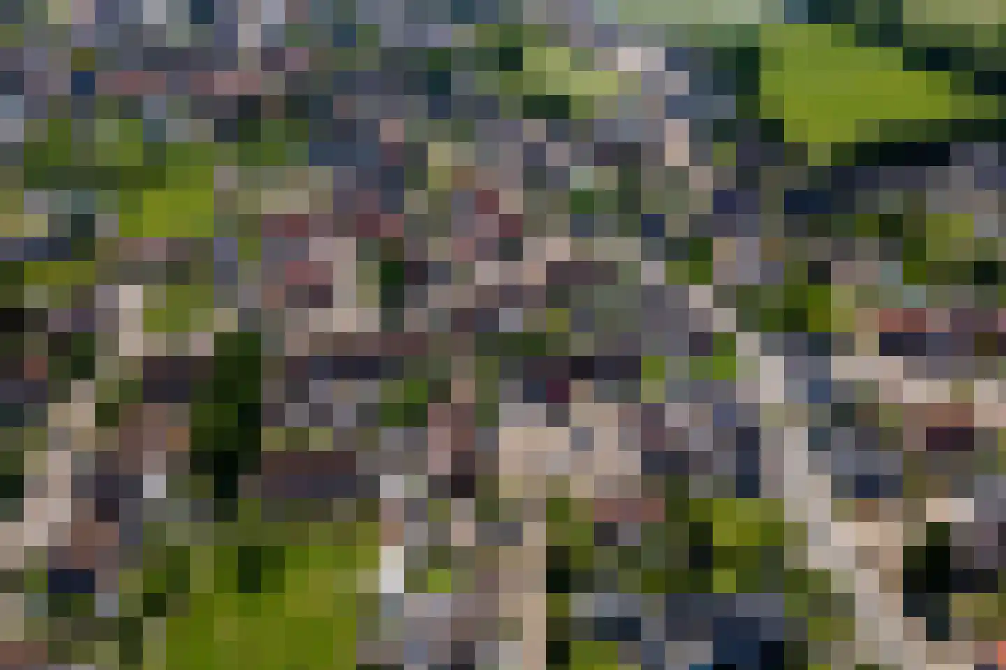 Kermenstein 7 Lienden thumbnail 44