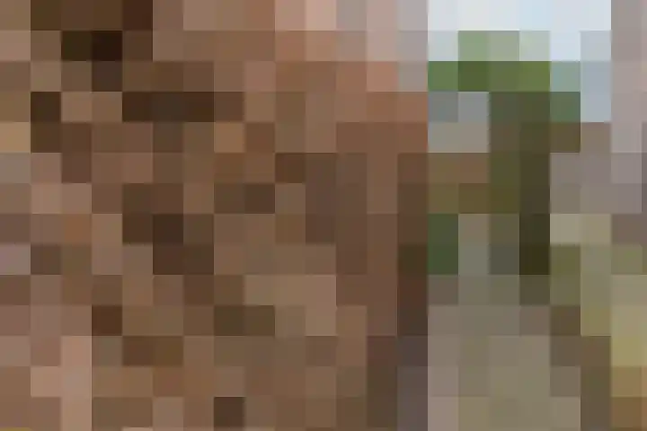 Kermenstein 80 Lienden thumbnail 31
