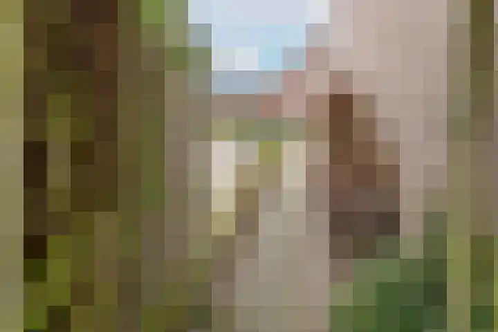 Kermenstein 80 Lienden thumbnail 32