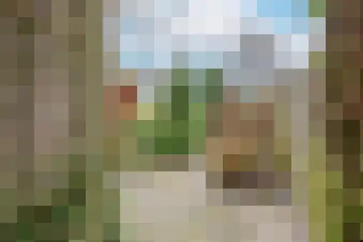 Kermenstein 80 Lienden thumbnail 33