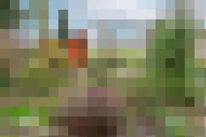 Kermenstein 80 Lienden thumbnail 34