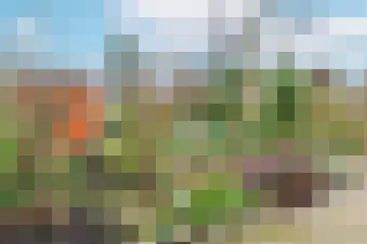 Kermenstein 80 Lienden thumbnail 35