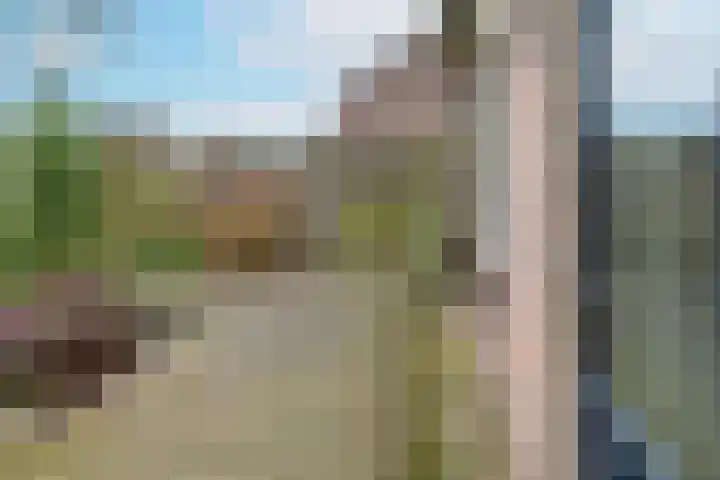 Kermenstein 80 Lienden thumbnail 36