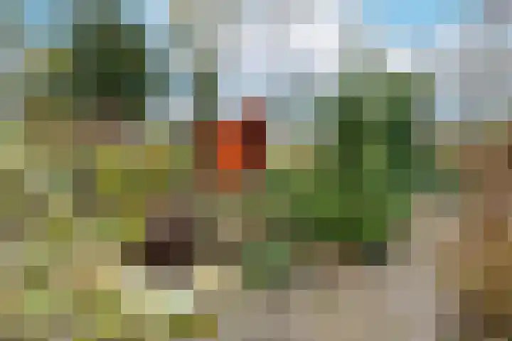 Kermenstein 80 Lienden thumbnail 37