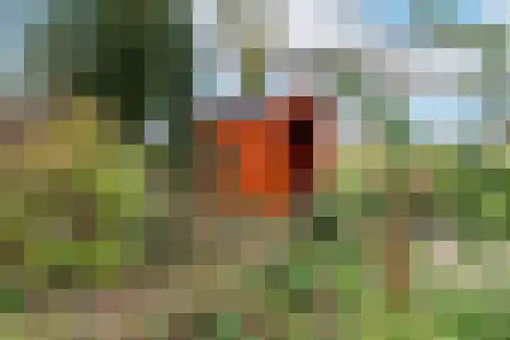 Kermenstein 80 Lienden thumbnail 38