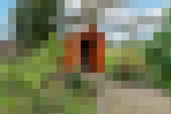 Kermenstein 80 Lienden thumbnail 39