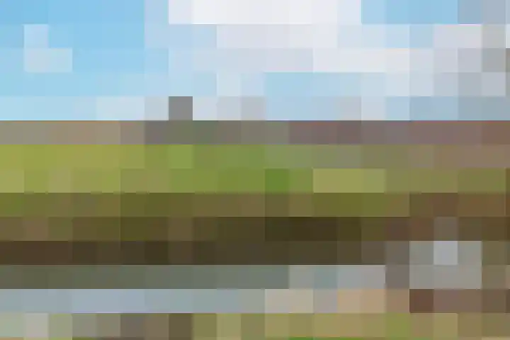 Kermenstein 80 Lienden thumbnail 40