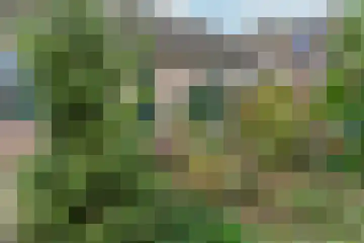 Kermenstein 80 Lienden thumbnail 41