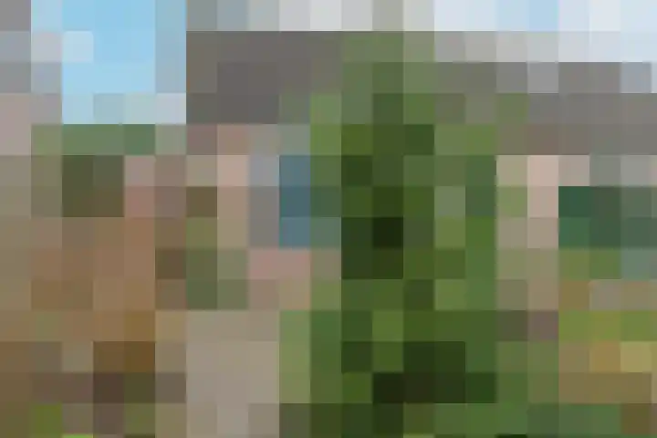 Kermenstein 80 Lienden thumbnail 42