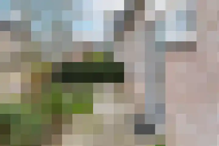Kermenstein 80 Lienden thumbnail 49