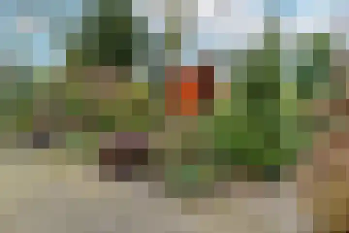 Kermenstein 80 Lienden thumbnail 62