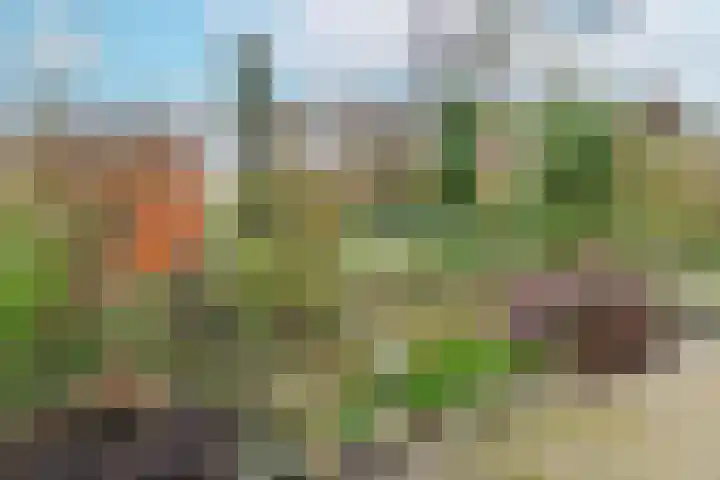 Kermenstein 80 Lienden thumbnail 63