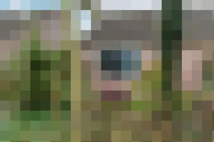 Kermenstein 80 Lienden thumbnail 65