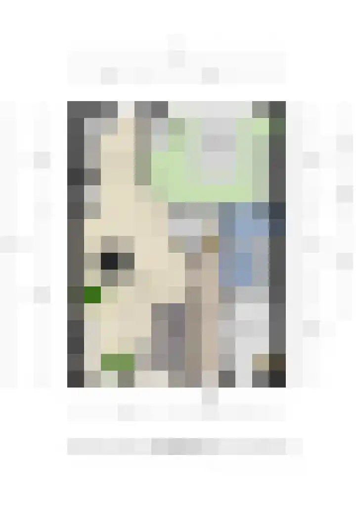 Kermenstein 80 Lienden thumbnail 67