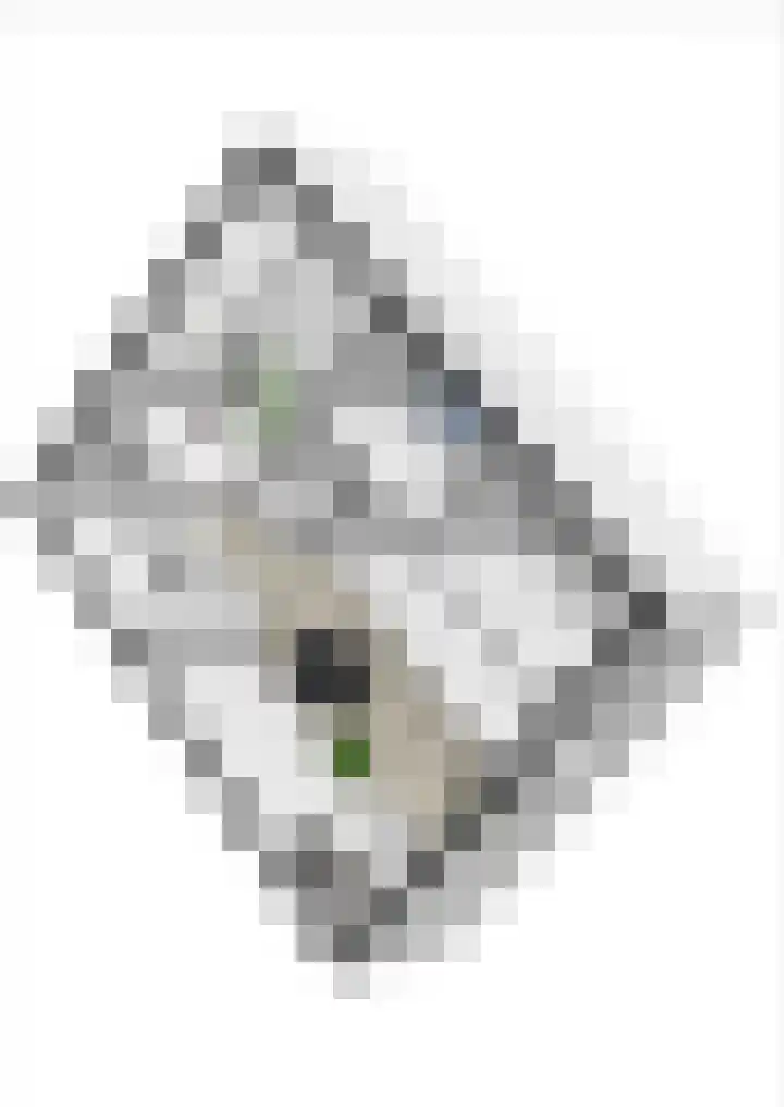 Kermenstein 80 Lienden thumbnail 71