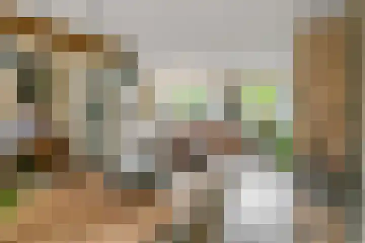 Kermenstein 88 Lienden thumbnail 10