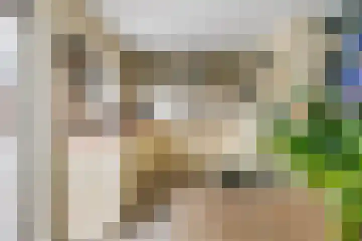 Kermenstein 88 Lienden thumbnail 11