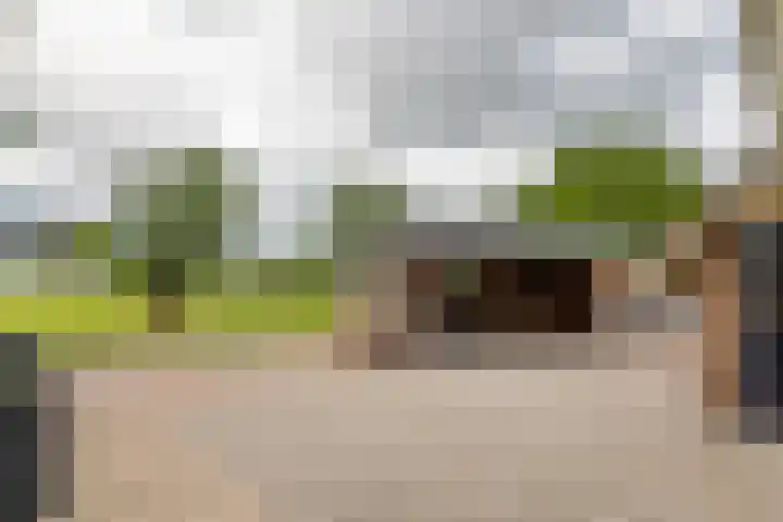Kermenstein 88 Lienden thumbnail 17