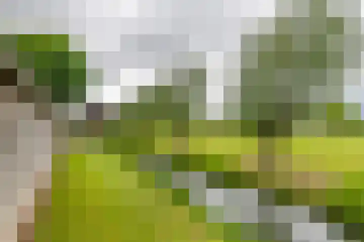 Kermenstein 88 Lienden thumbnail 19