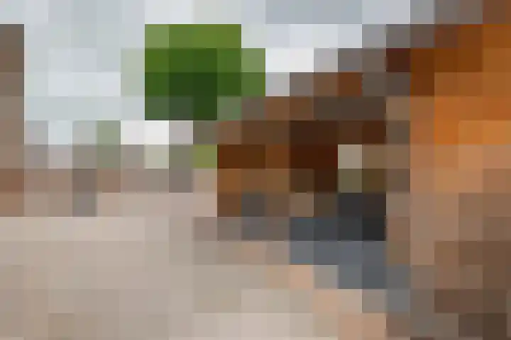 Kermenstein 88 Lienden thumbnail 22