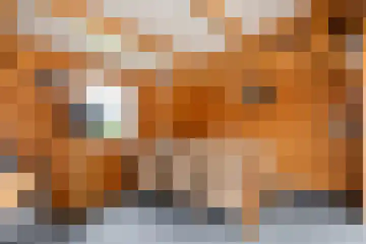 Kermenstein 88 Lienden thumbnail 25