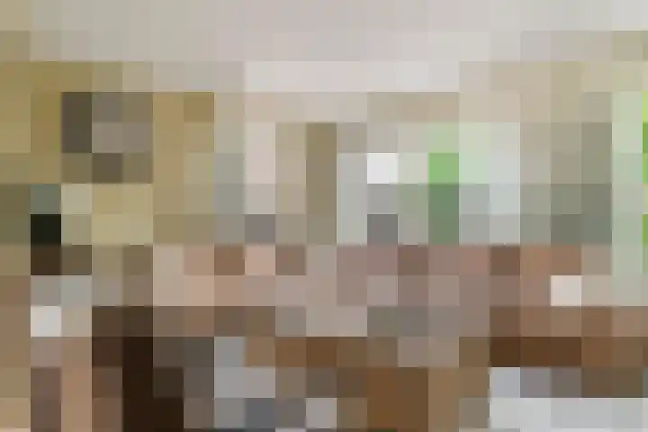 Kermenstein 88 Lienden thumbnail 7
