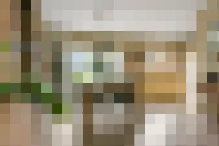 Kermenstein 88 Lienden thumbnail 9