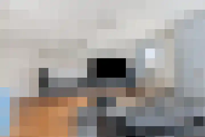 Kermispad 127 Amsterdam thumbnail 20