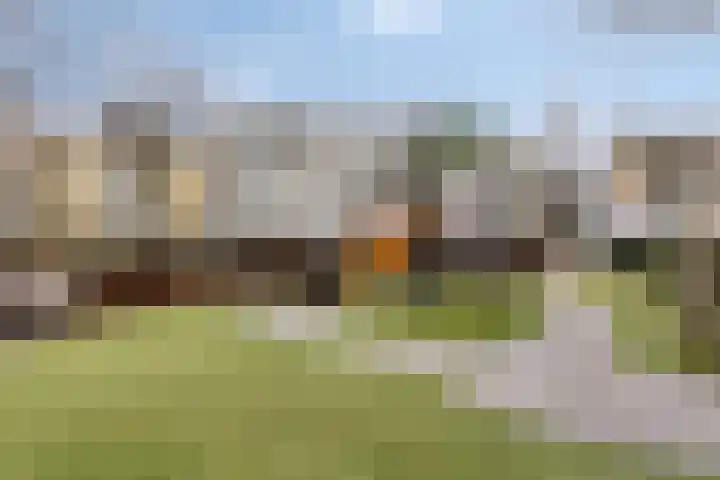 Kermispad 127 Amsterdam thumbnail 28