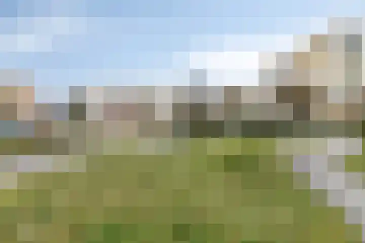 Kermispad 127 Amsterdam thumbnail 31