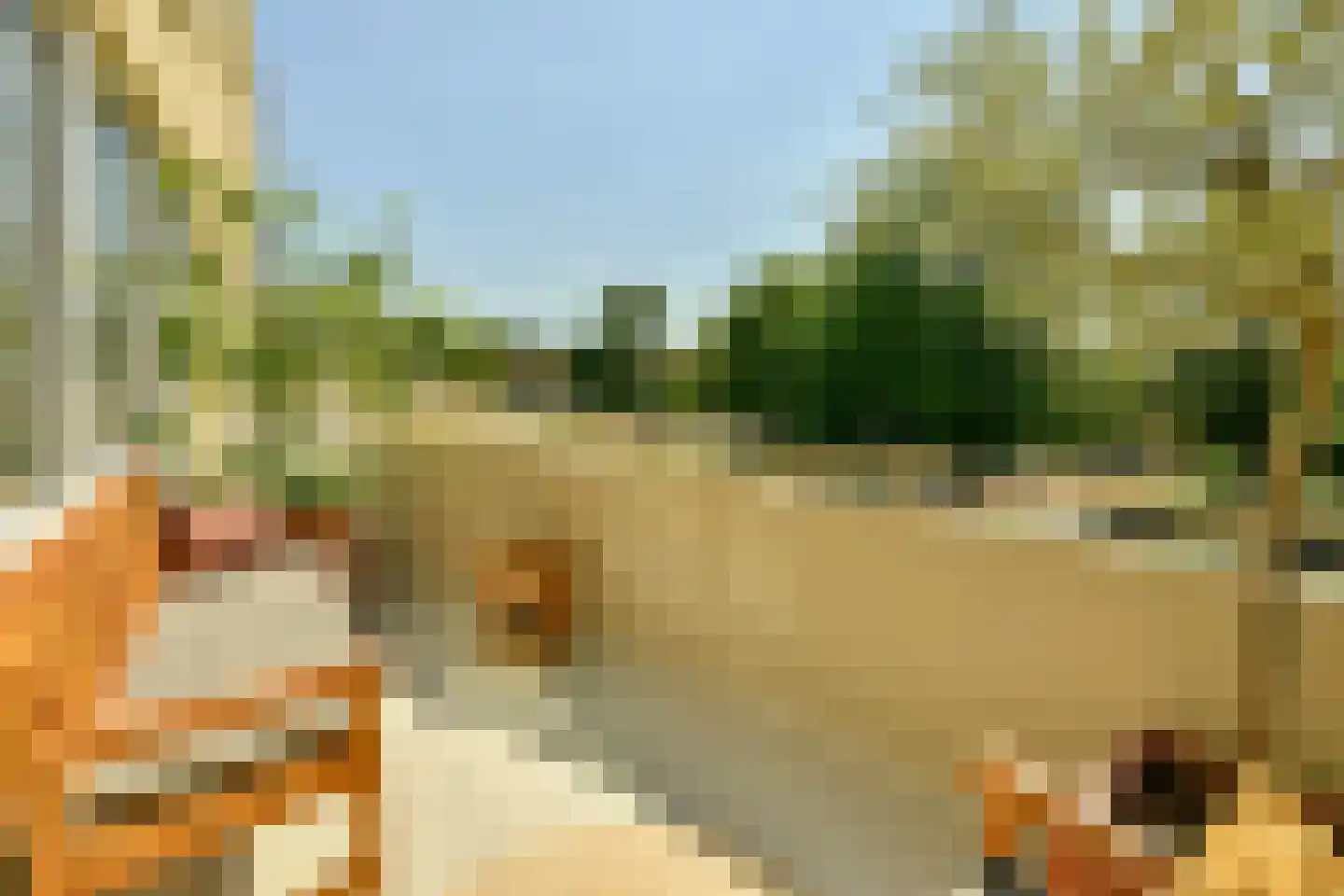 Kermispad 36 Amsterdam thumbnail 11