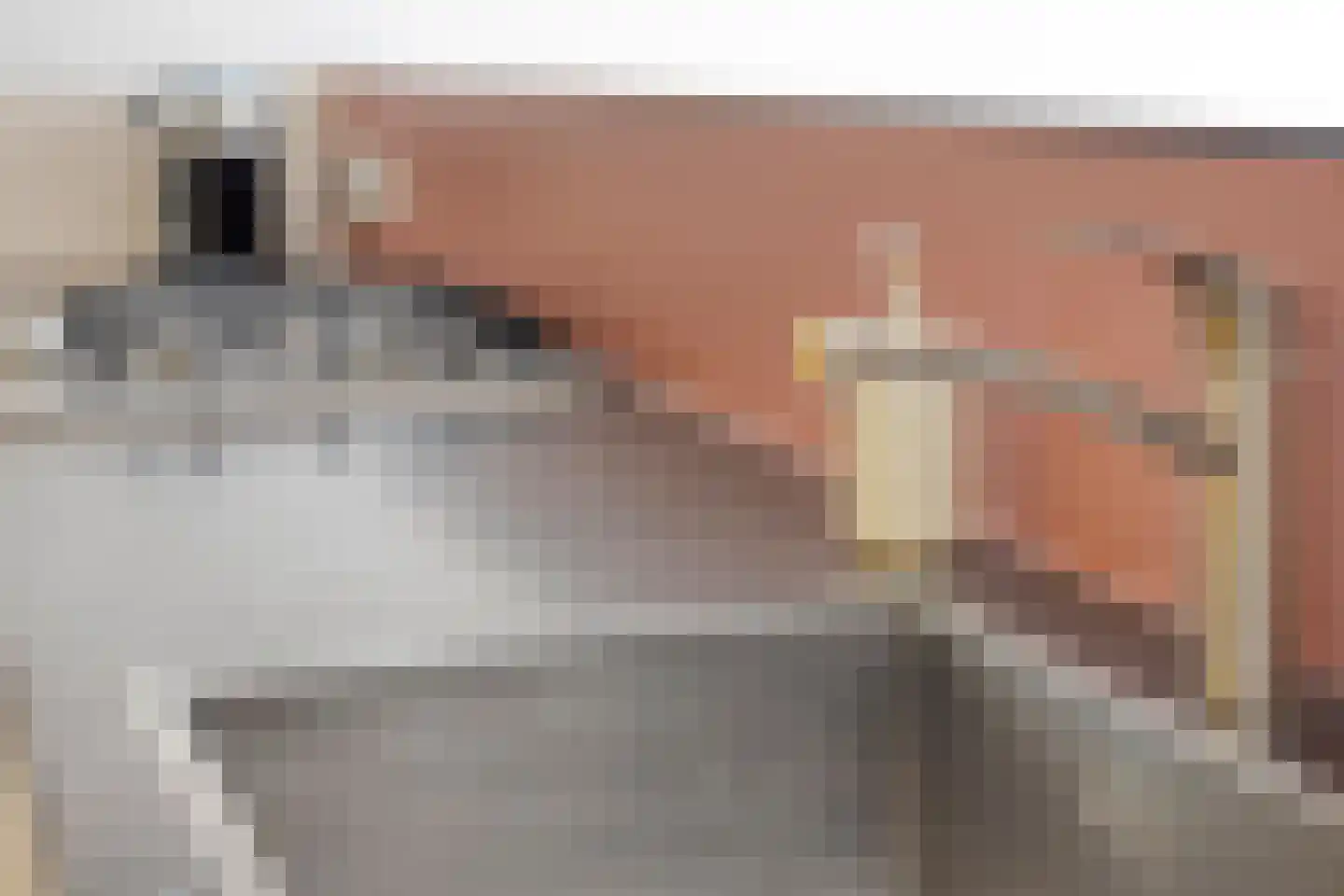Kermispad 36 Amsterdam thumbnail 20