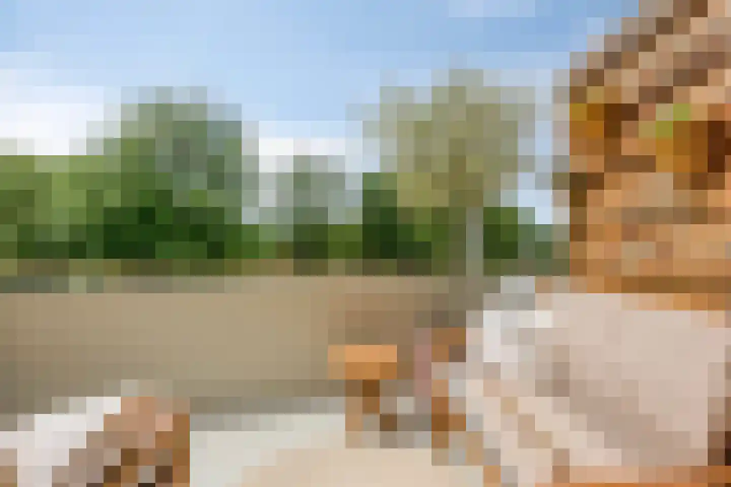 Kermispad 36 Amsterdam thumbnail 24