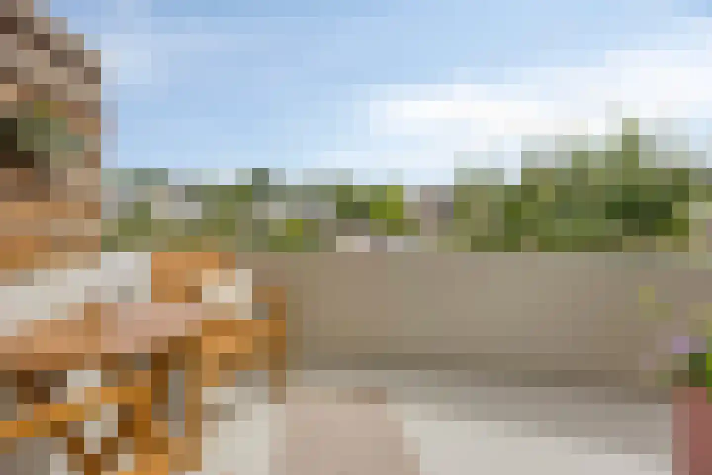 Kermispad 36 Amsterdam thumbnail 9