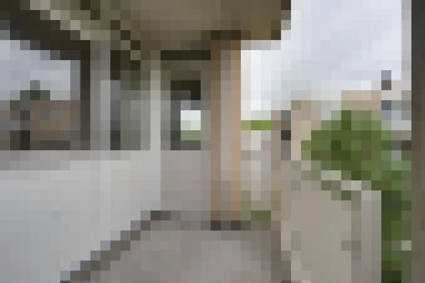 Kermispad 85 Amsterdam thumbnail 25