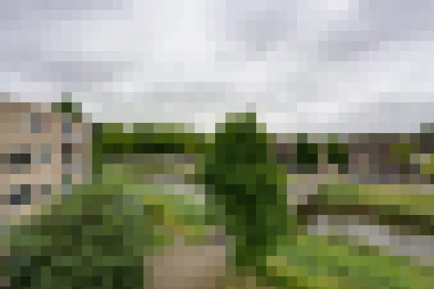 Kermispad 85 Amsterdam thumbnail 26
