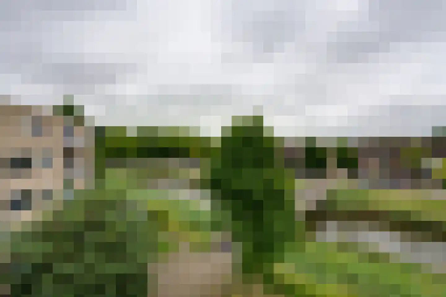 Kermispad 85 Amsterdam thumbnail 27