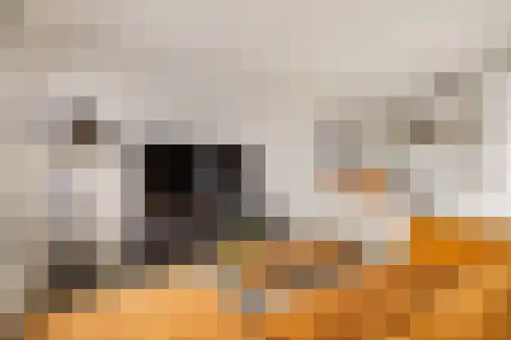 Kermispad 93 Amsterdam thumbnail 11