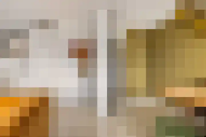 Kermispad 93 Amsterdam thumbnail 13