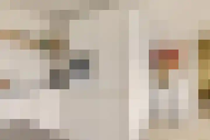 Kermispad 93 Amsterdam thumbnail 15