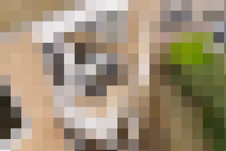 Kermispad 93 Amsterdam thumbnail 28