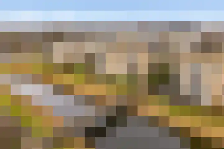 Kermispad 93 Amsterdam thumbnail 29