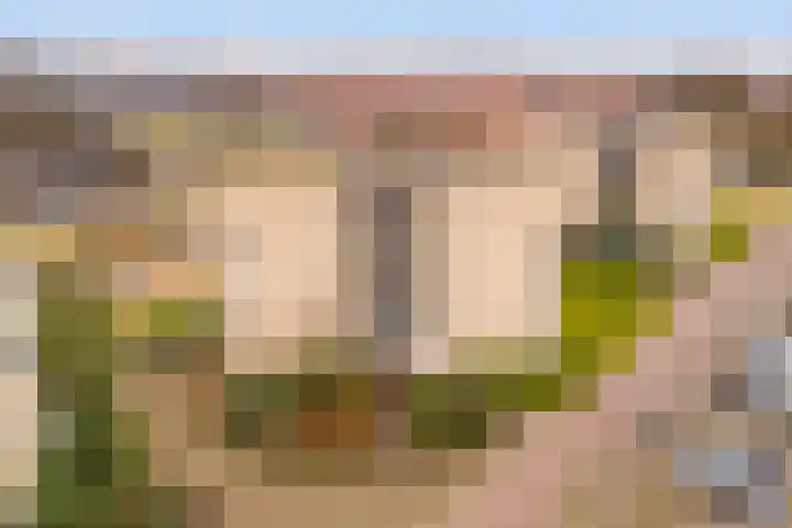 Kermispad 93 Amsterdam thumbnail 30