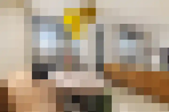 Kermispad 93 Amsterdam thumbnail 8