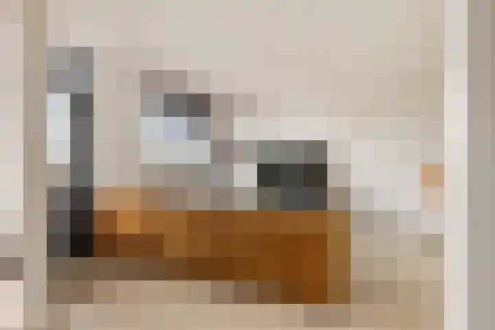 Kermispad 93 Amsterdam thumbnail 9