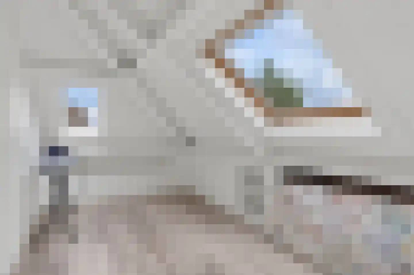 Kerneel 6 Nederweert thumbnail 60