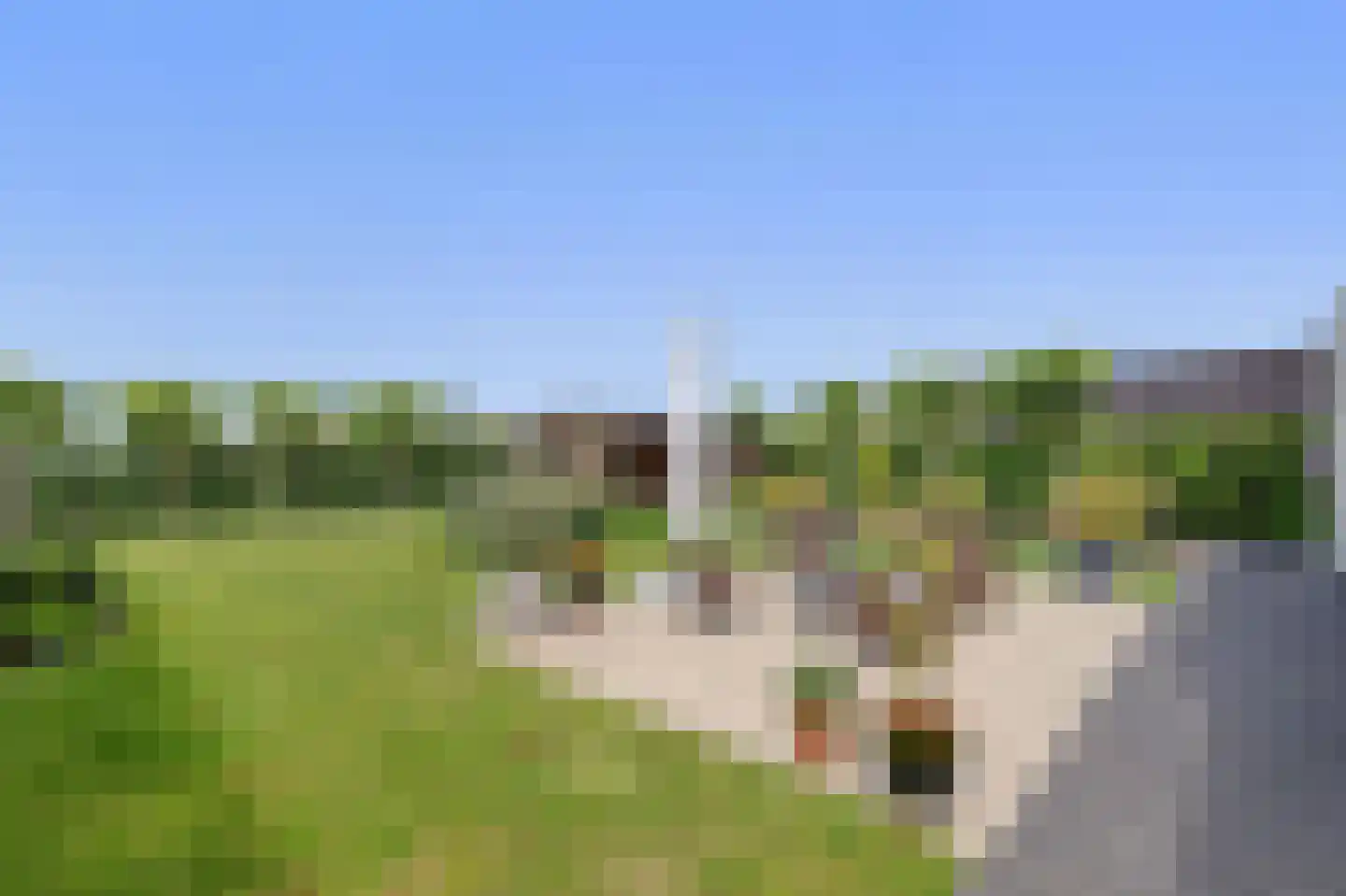 Kerneel 6 Nederweert thumbnail 70